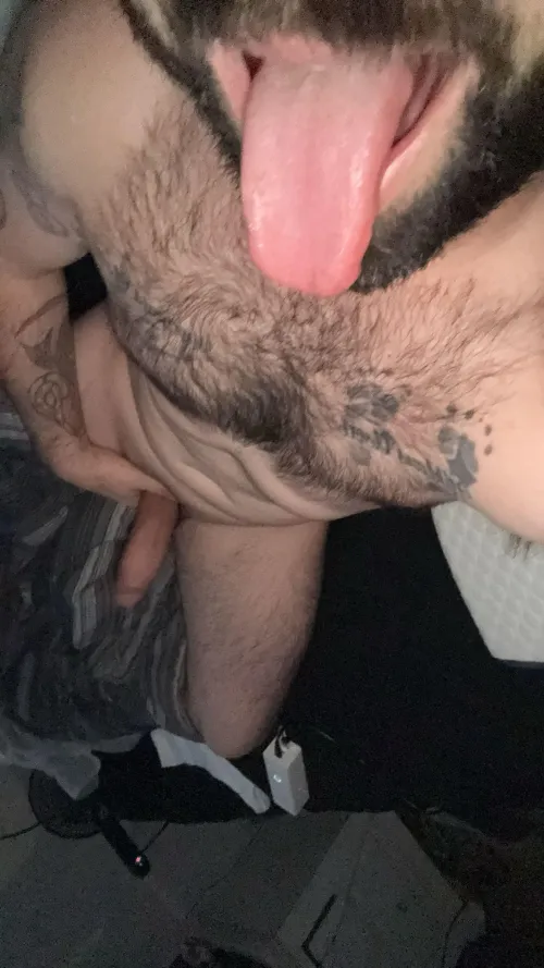 Girls which one would you ride first