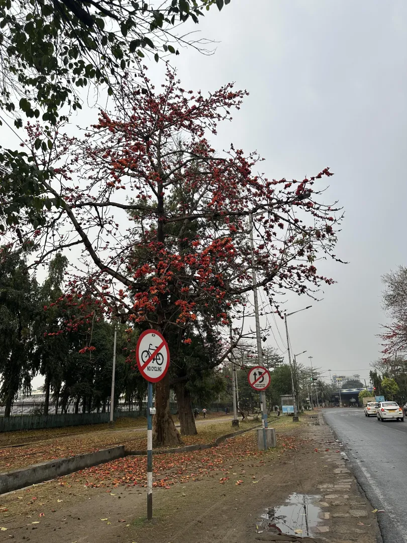 Girls with dirty kink....lets talk and know each other