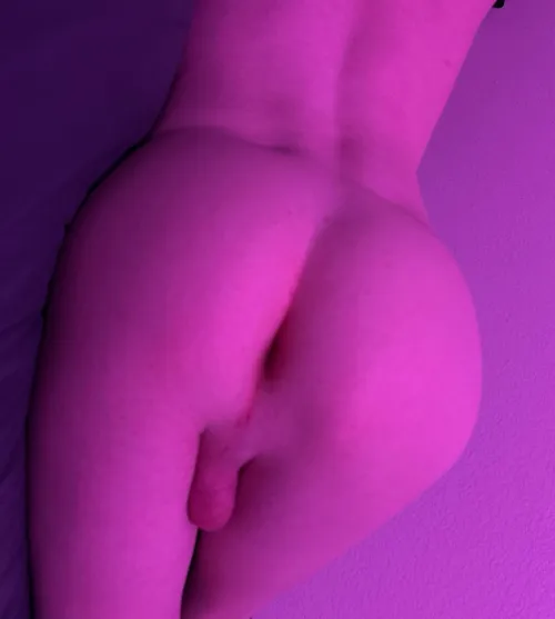 give me your seed bro