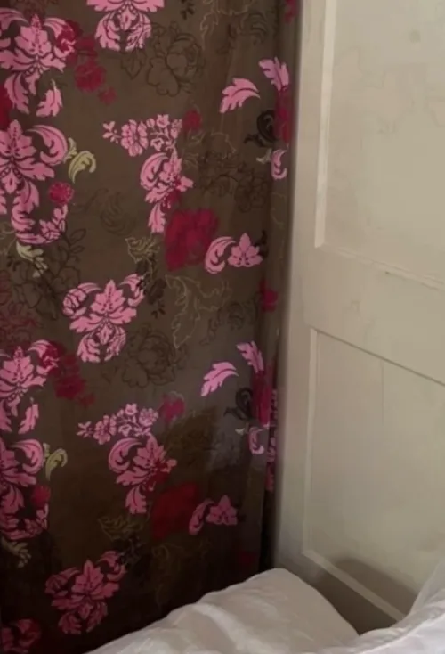 Glorysheet today. Columbia. Be in decent shape and disease free.