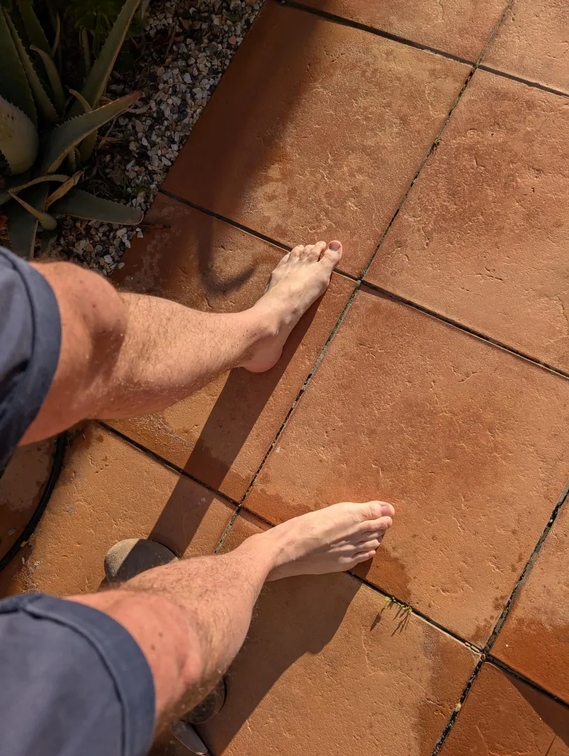 Good morning boys ☕