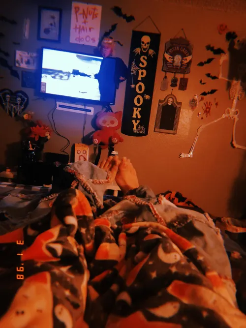 good night from my piggies