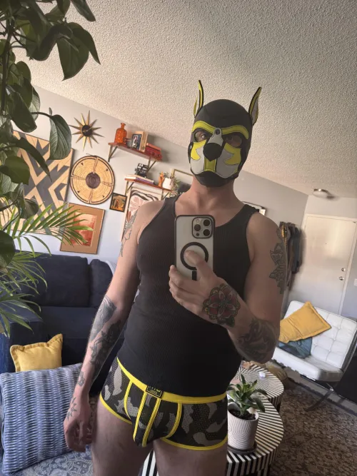 Got some new boxers today