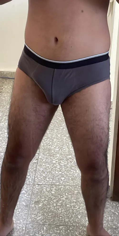 gray briefs