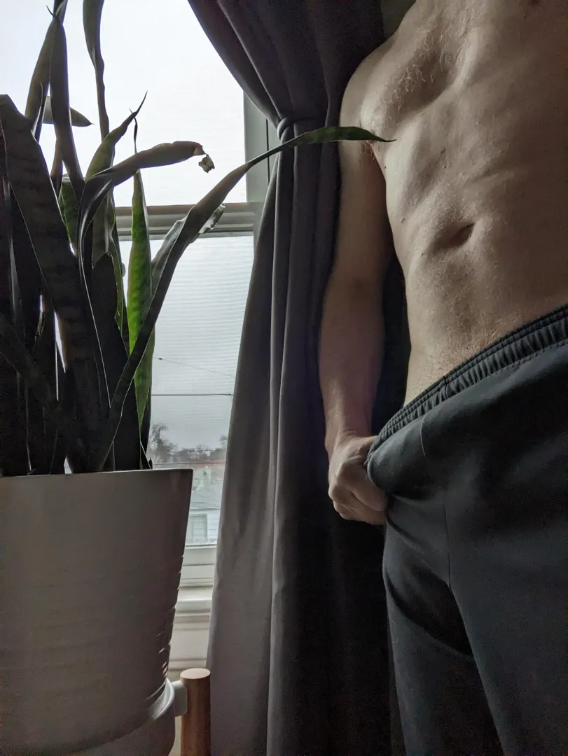 Grey sweats on a grey snake plant Sunday [M]