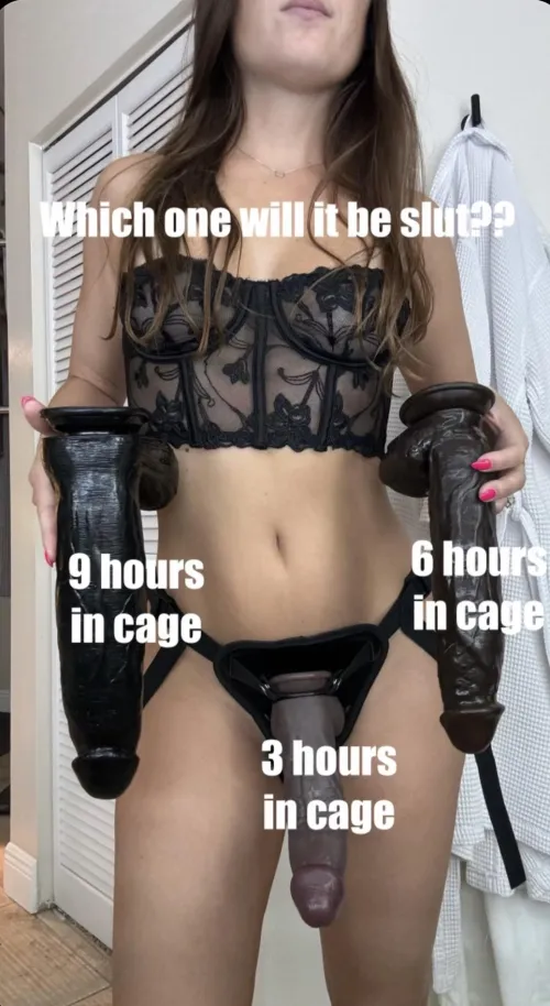 Guess what one I picked?