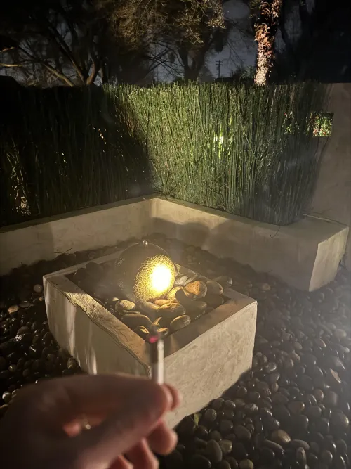 Guys this looks wild