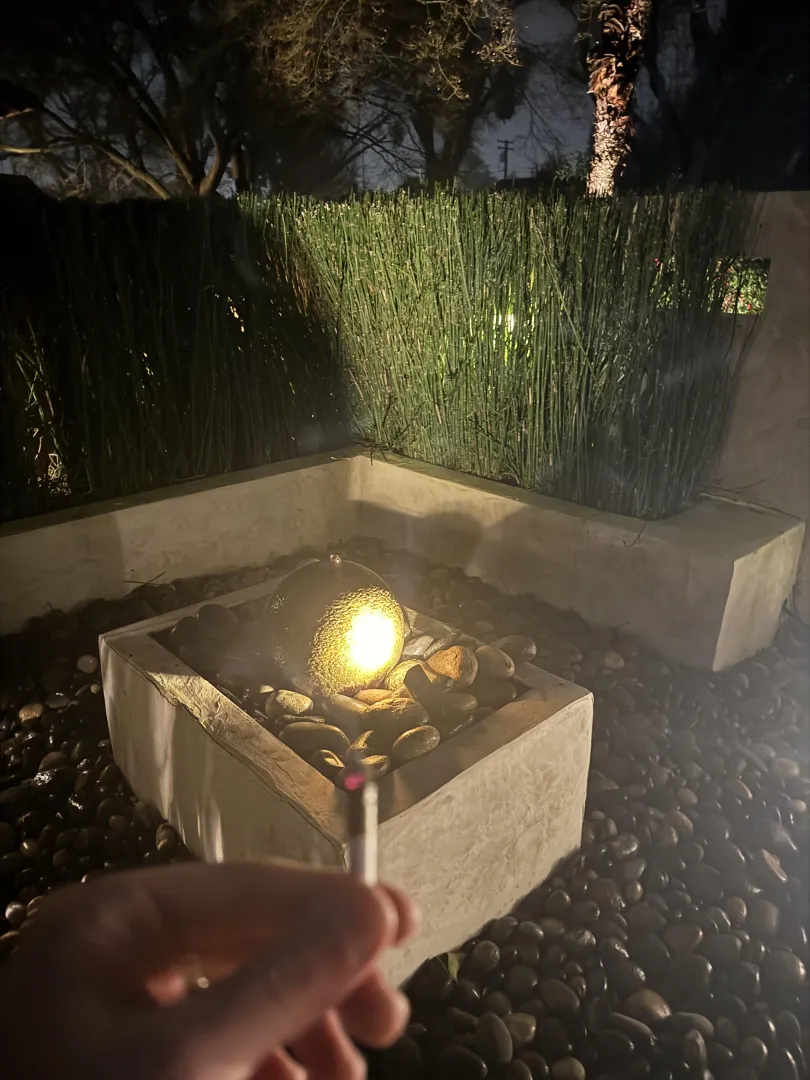 Guys this looks wild