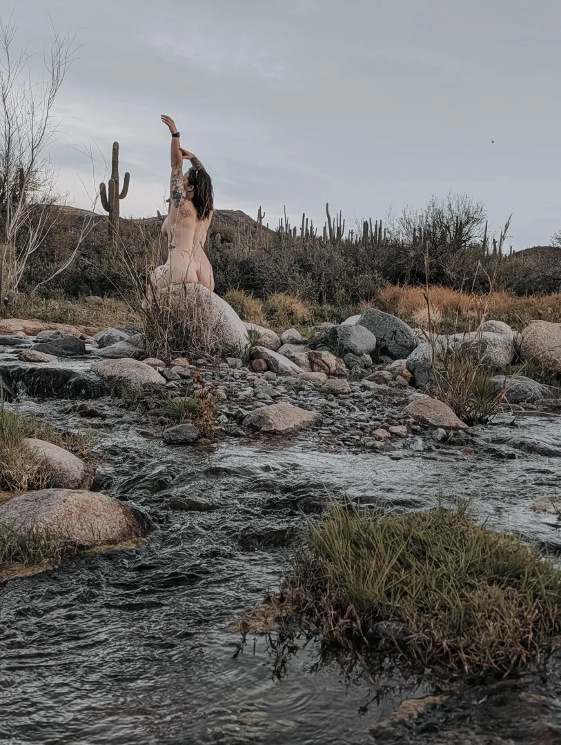 Had a little morning hike today here in AZ!