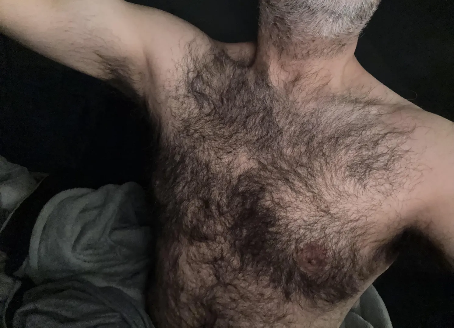 Hairy chest and pits