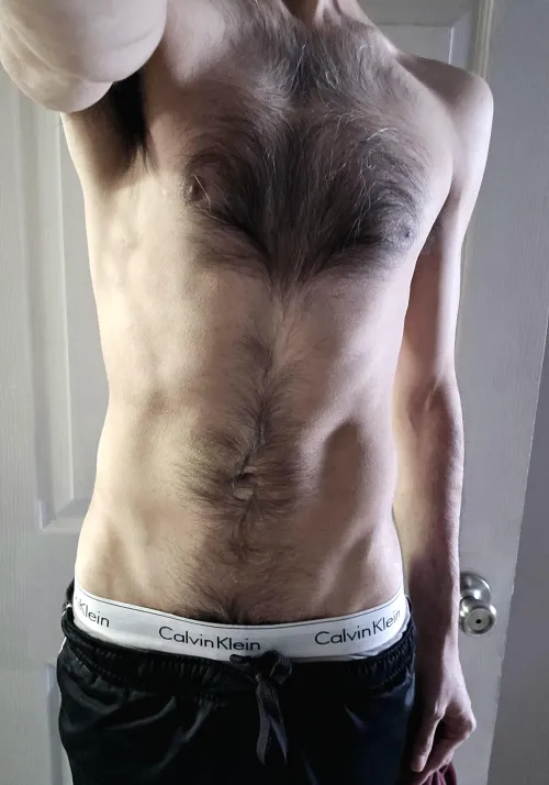 hairy chest and torso