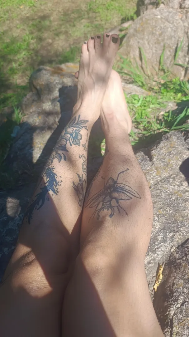 hairy legs in the sun