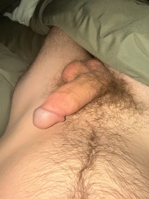 Hairy semi