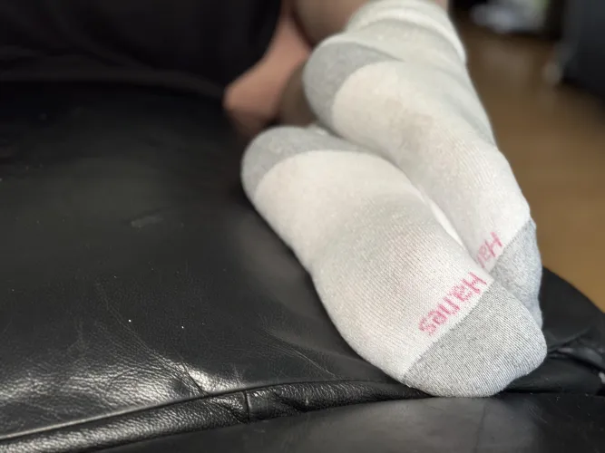 Hanes white socks