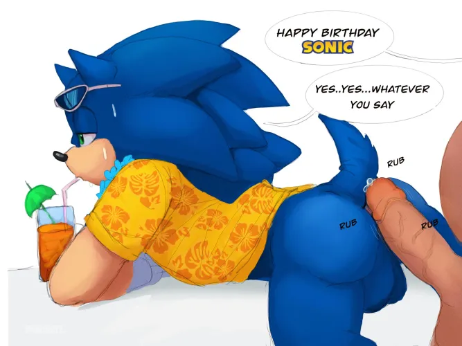 Happy Birthday SONIC! Here's Your Birthday Gift [MM] (aciidtron)