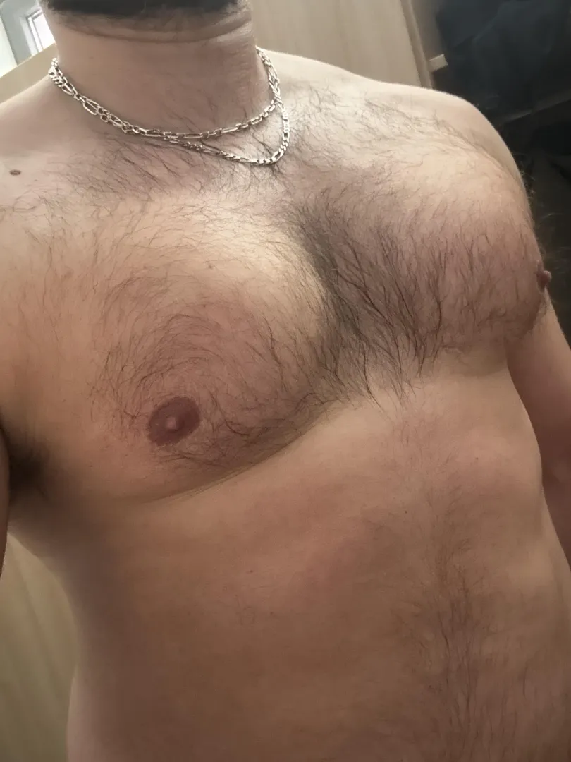 Hard nipples and sweaty hairy chest after gym