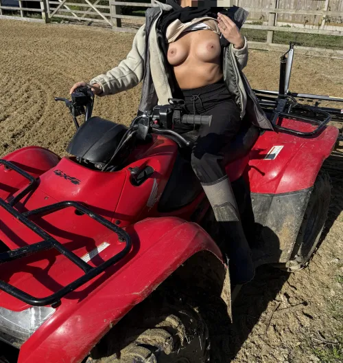 Harrowing the sand school