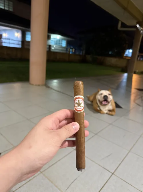 HDM Double Corona (2025)