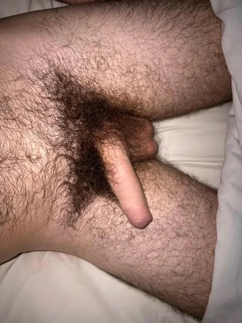 Heavy pubes and loose dick
