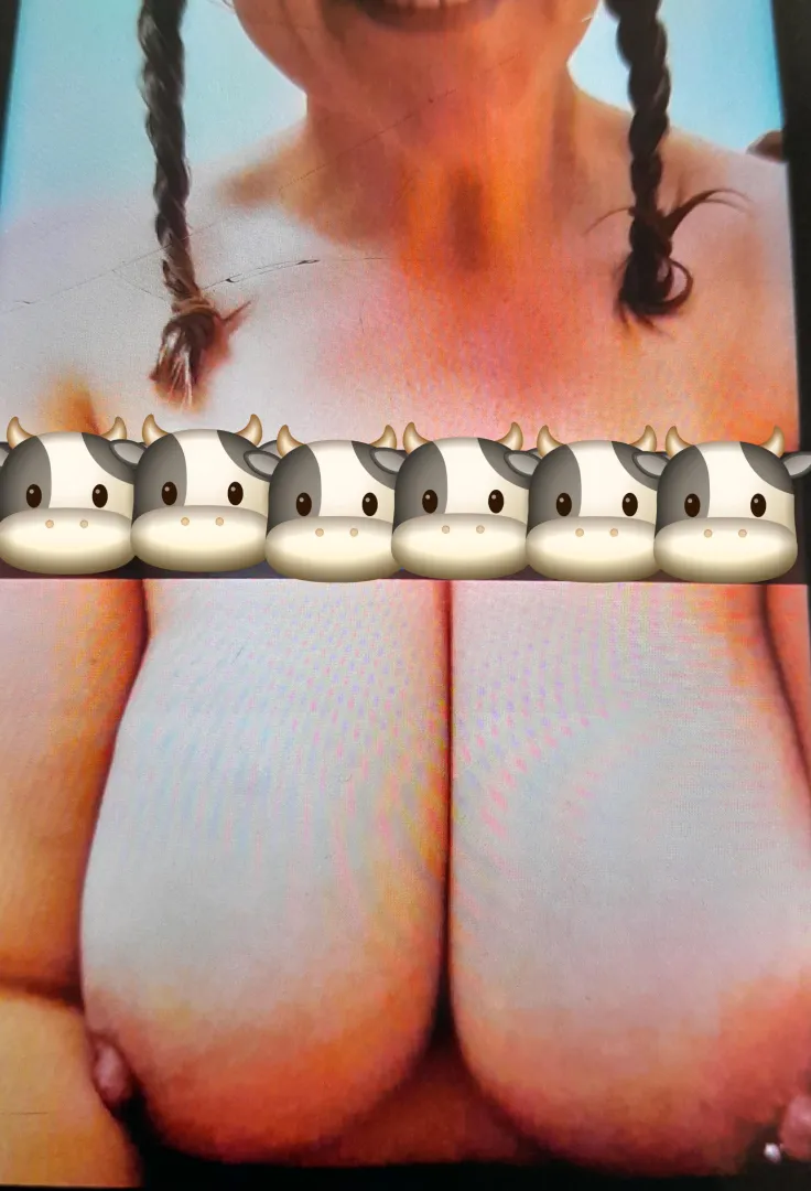 Heifer ready to start milking