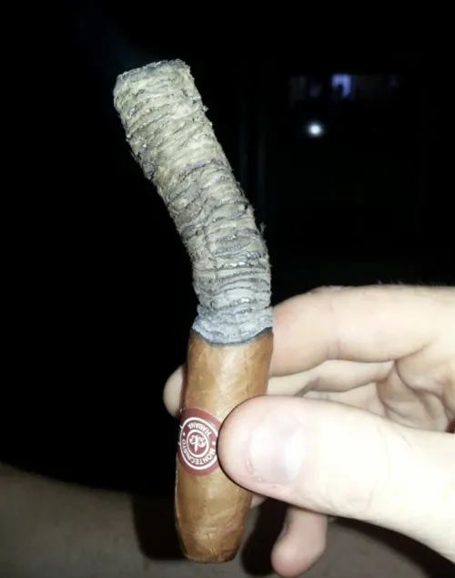 Help me understand the long ash efforts