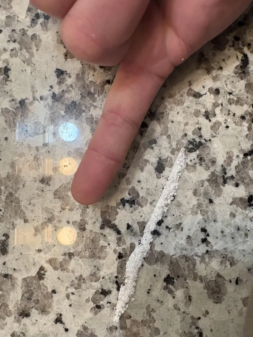 ❄️ Here we go again. Taco Tuesday edition