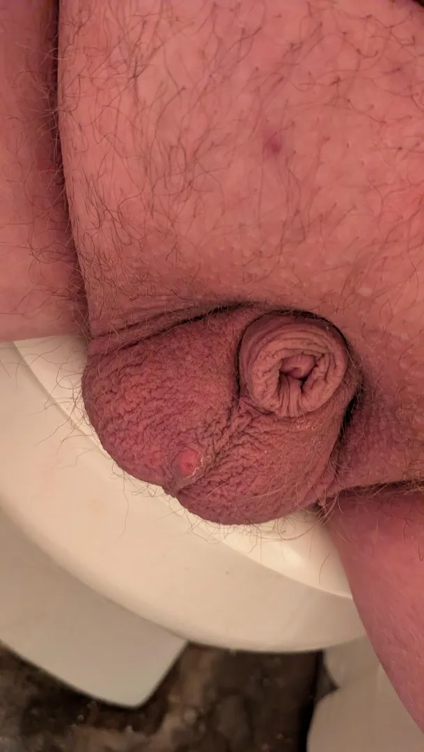 He's hiding, who wants to help bring him out?