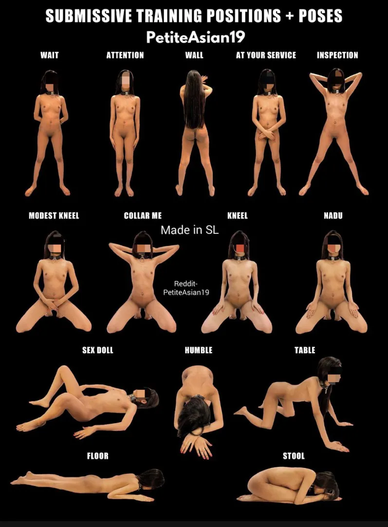 Hi guys meka magema slave training poster eka. Oyala kamathi widiyakata share karaganna 