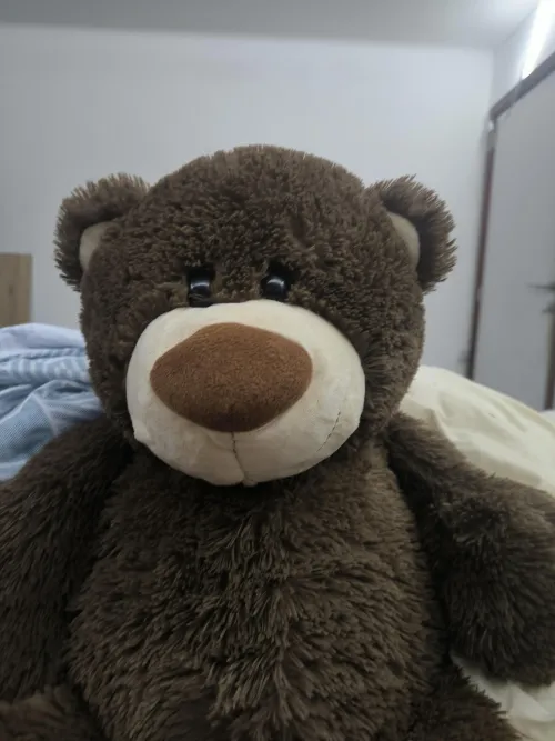 Hi wanted to show one of my teddybears