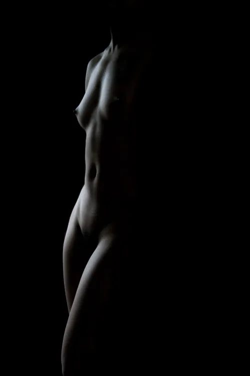 High Contrast Torso