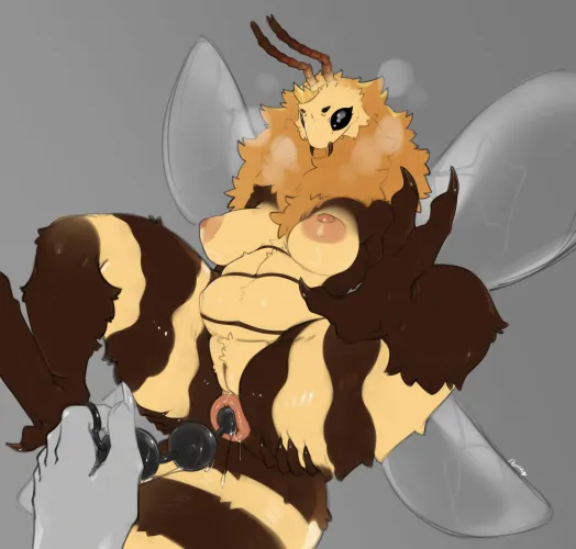 Honey Lubed Beads [MF]