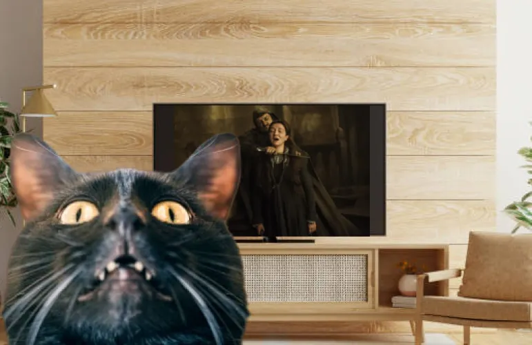 How do I get my cat to stop ruining my tension?