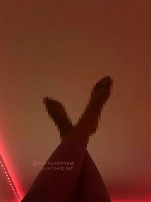 how triggering is this for a loser like you? ✨