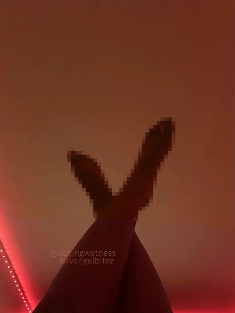 how triggering is this for a loser like you? ✨