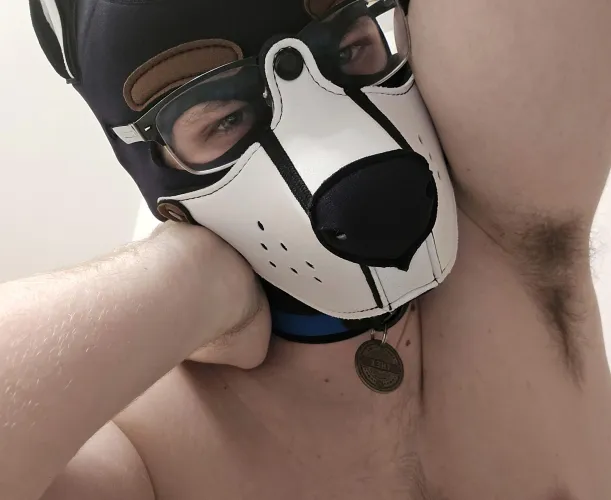 Howdy! Whatchya lookin' at?