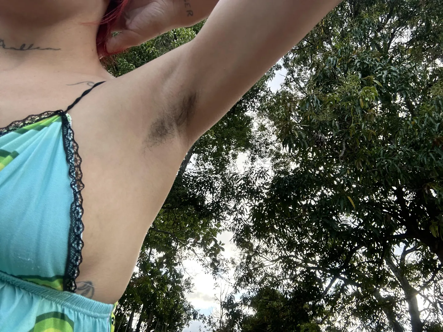 Hoy salieron a tomar el sol.