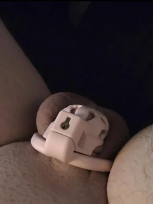 I can barely fill this pretty pink cage. Wife has me locked because I can't satisfy her anymore. It's so embarrassing and emasculating, so why am I so turned on?!