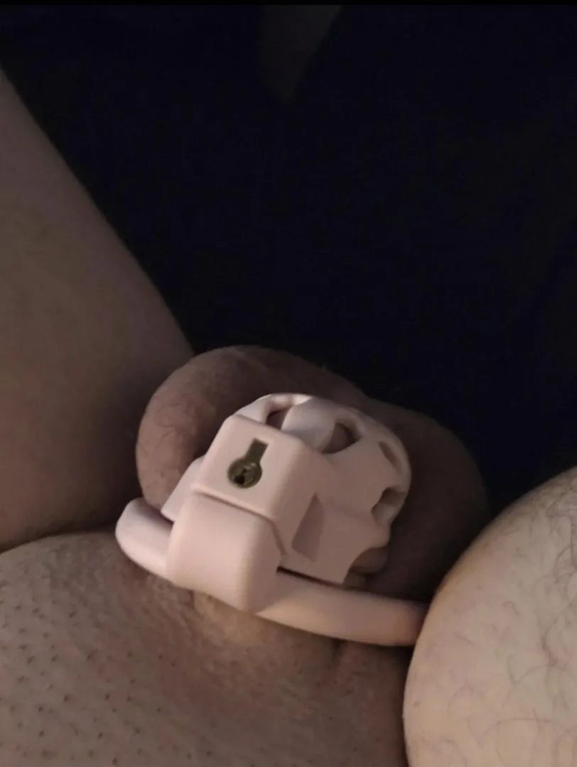 I can barely fill this pretty pink cage. Wife has me locked because I can't satisfy her anymore. It's so embarrassing and emasculating, so why am I so turned on?!