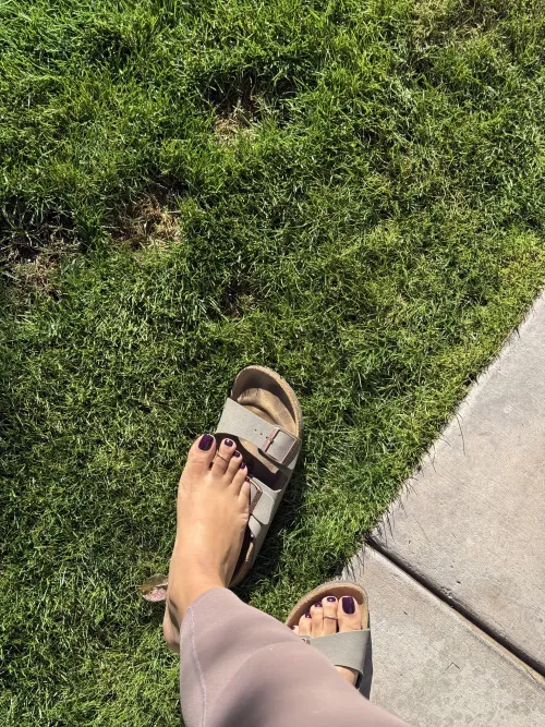 I could wear Birks any day