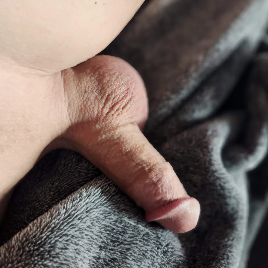 I enjoy seeing all the penises!