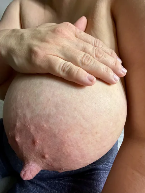 I hope you have milking machine for cows, no toy