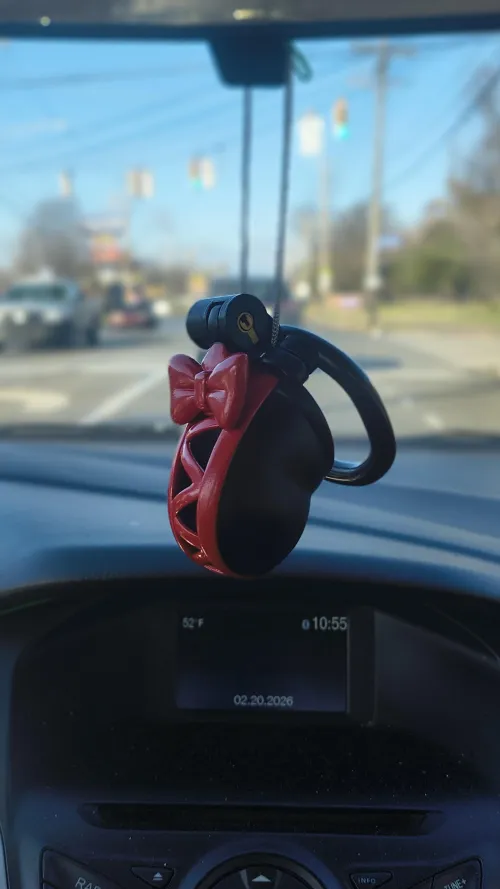 I keep a spare cage hanging from the review mirror........