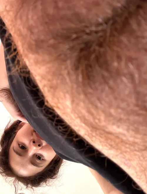 I like my ginger bush out of control