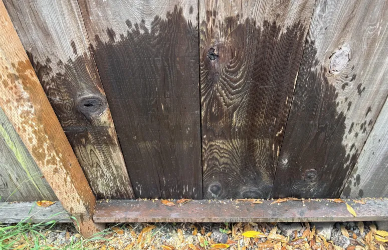 I Love Leaving My Mark