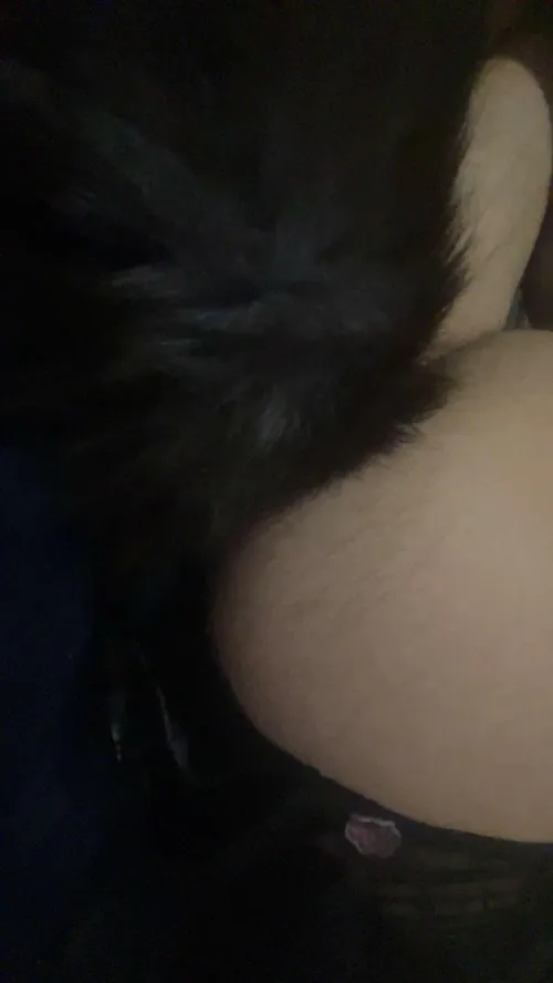 I love my tail