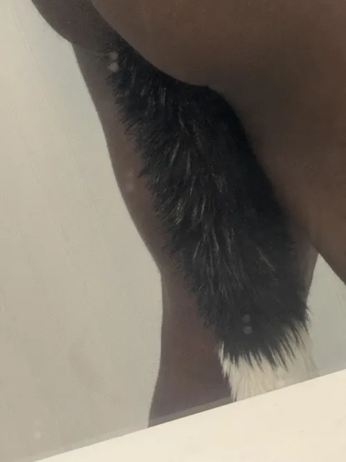 I love wearing my tail [M]