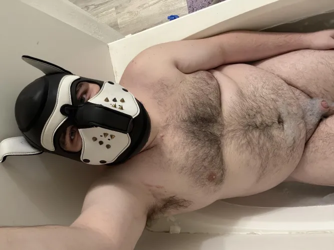 I need someone to collar me (28m)