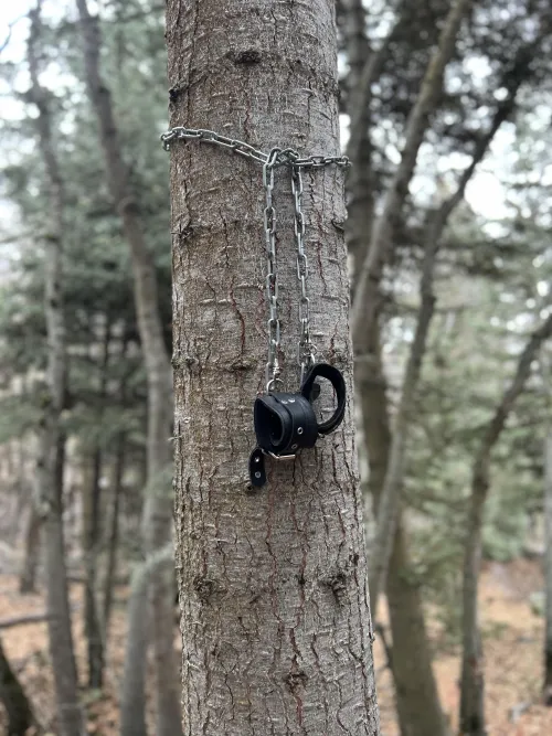 I solemnly swear that we are up to no good