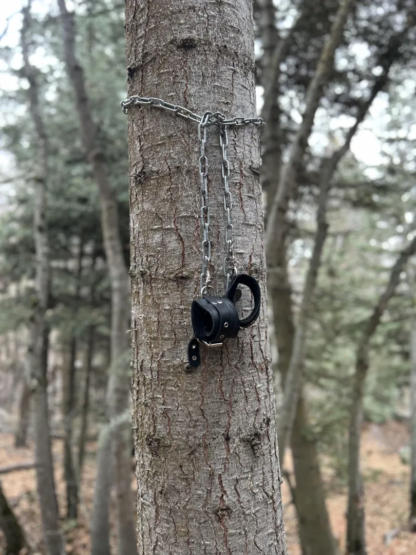 I solemnly swear that we are up to no good