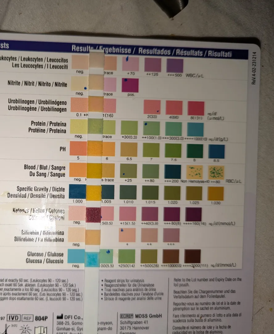 I took an at home pee test because it said it could tell you if you have a UTI but I don't really understand it.